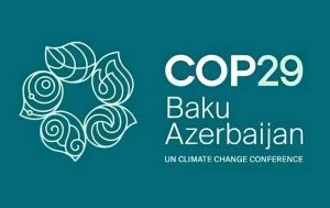 Pembiayaan Iklim untuk Negara Berkembang: Tantangan dan Solusi dalam COP29