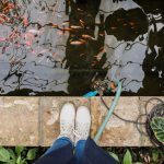 Membuat Kolam Ikan di Rumah, Bikin Suasana Makin Adem dan Asri!