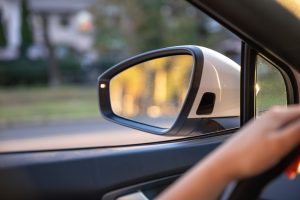jenis spion