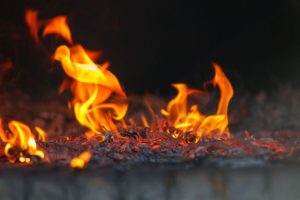 jenis api