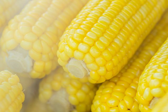 Rekomendasi Olahan Jagung Manis